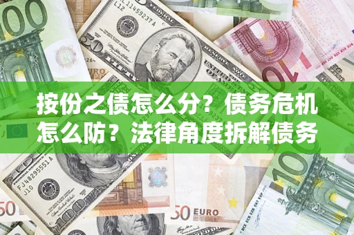 武汉按份之债怎么分？债务危机怎么防？法律角度拆解债务分配与风险自保指南