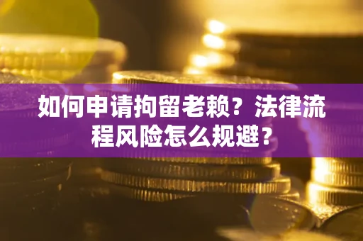 武汉如何申请拘留老赖？法律流程风险怎么规避？
