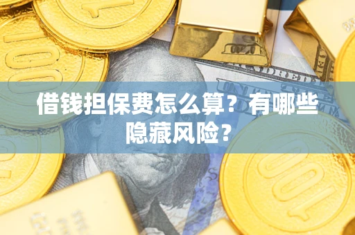 武汉借钱担保费怎么算？有哪些隐藏风险？