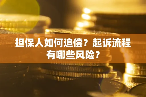 武汉担保人如何追偿？起诉流程有哪些风险？