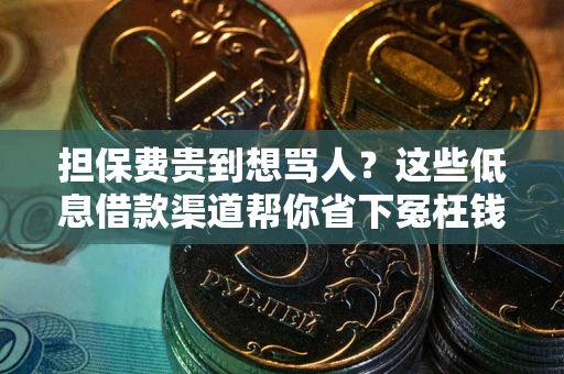 武汉担保费贵到想骂人？这些低息借款渠道帮你省下冤枉钱