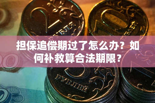 武汉担保追偿期过了怎么办？如何补救算合法期限？