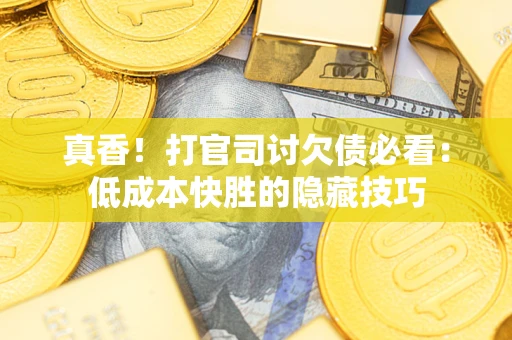 武汉真香！打官司讨欠债必看：低成本快胜的隐藏技巧