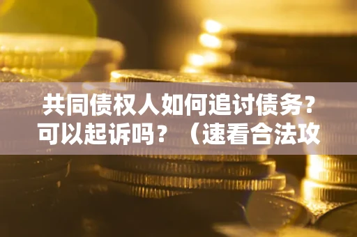 武汉共同债权人如何追讨债务？可以起诉吗？（速看合法攻略）