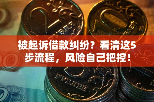 武汉被起诉借款纠纷？看清这5步流程，风险自己把控！