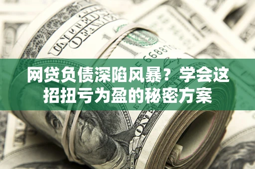 武汉网贷负债深陷风暴？学会这招扭亏为盈的秘密方案